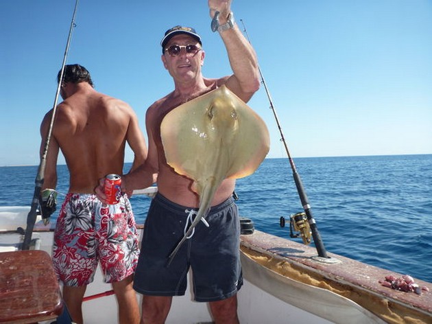 Common Stingray Cavalier & Blue Marlin Sport Fishing Gran Canaria