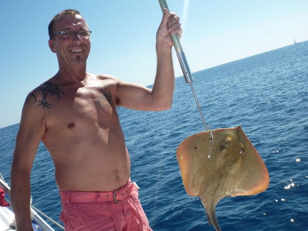 Common Stingray Cavalier & Blue Marlin Sport Fishing Gran Canaria