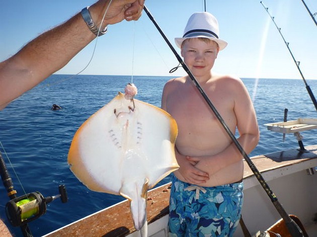 Common Stingray Cavalier & Blue Marlin Sport Fishing Gran Canaria