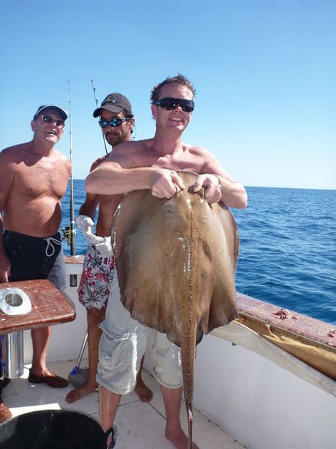 Roughtail Stingray Cavalier & Blue Marlin Sport Fishing Gran Canaria