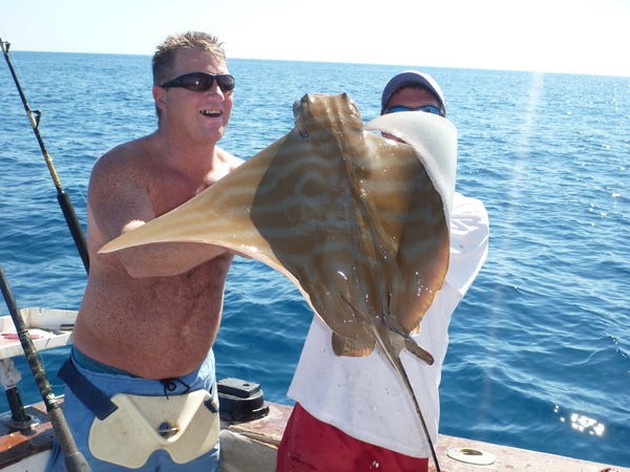 Duckbill ray Cavalier & Blue Marlin Sport Fishing Gran Canaria