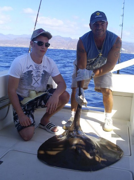 Roughtail Stingray Cavalier & Blue Marlin Sport Fishing Gran Canaria