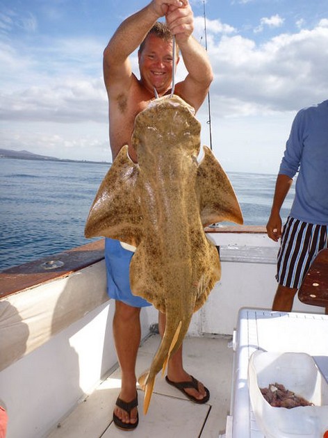 Angels shark Cavalier & Blue Marlin Sport Fishing Gran Canaria