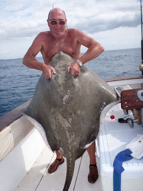 Common Stingray Cavalier & Blue Marlin Sport Fishing Gran Canaria