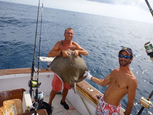 Roughtail Stingray Cavalier & Blue Marlin Sport Fishing Gran Canaria