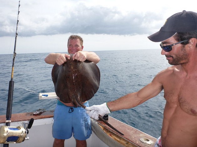 Common Stingray Cavalier & Blue Marlin Sport Fishing Gran Canaria