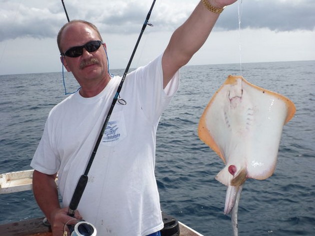 Common Stingray Cavalier & Blue Marlin Sport Fishing Gran Canaria