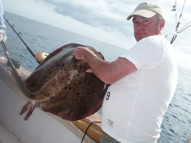 Roughtail Stingray Cavalier & Blue Marlin Sport Fishing Gran Canaria