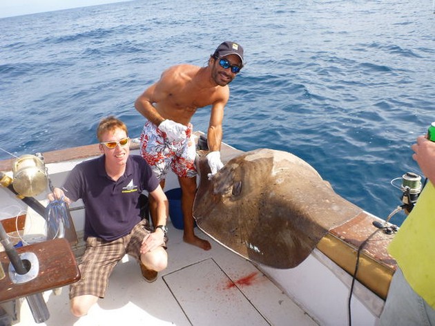 Common Stingray Cavalier & Blue Marlin Sport Fishing Gran Canaria