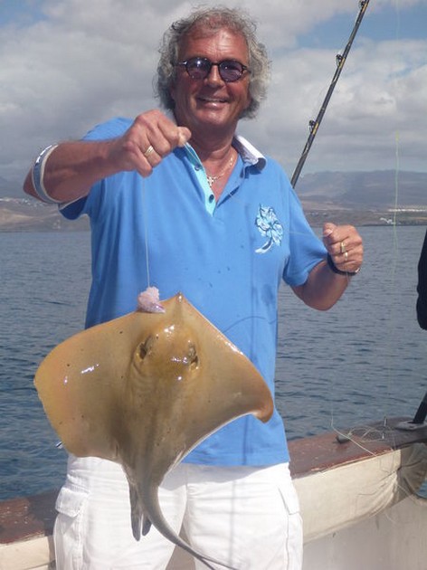 Common Stingray Cavalier & Blue Marlin Sport Fishing Gran Canaria