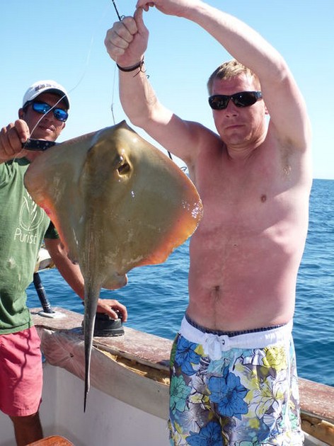 Common Stingray Cavalier & Blue Marlin Sport Fishing Gran Canaria