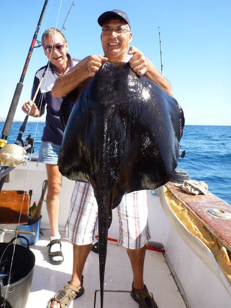 Black Stingray Cavalier & Blue Marlin Sport Fishing Gran Canaria