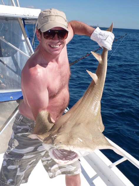 Angel shark Cavalier & Blue Marlin Sport Fishing Gran Canaria