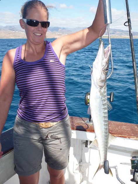 Barracuda Cavalier & Blue Marlin Sport Fishing Gran Canaria