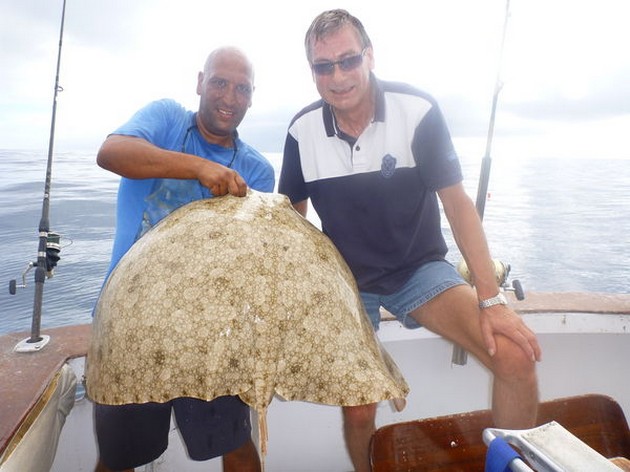 Butterfly ray Cavalier & Blue Marlin Sport Fishing Gran Canaria