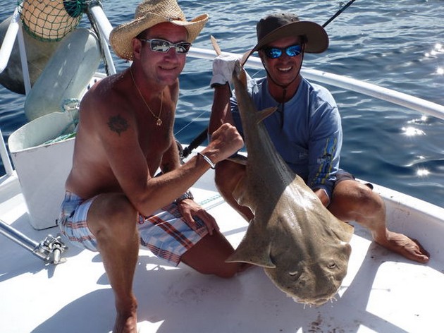 Angelshark Cavalier & Blue Marlin Sport Fishing Gran Canaria