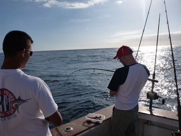 hooked up Cavalier & Blue Marlin Sport Fishing Gran Canaria