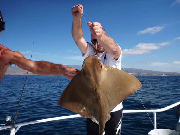 Eagler ray Cavalier & Blue Marlin Sport Fishing Gran Canaria