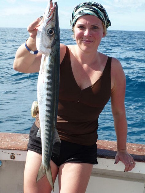 Barracuda Cavalier & Blue Marlin Sport Fishing Gran Canaria
