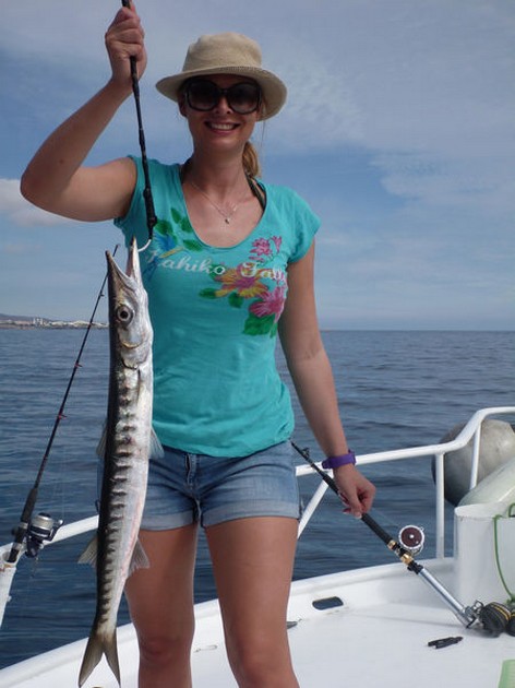 Barracuda Cavalier & Blue Marlin Sport Fishing Gran Canaria