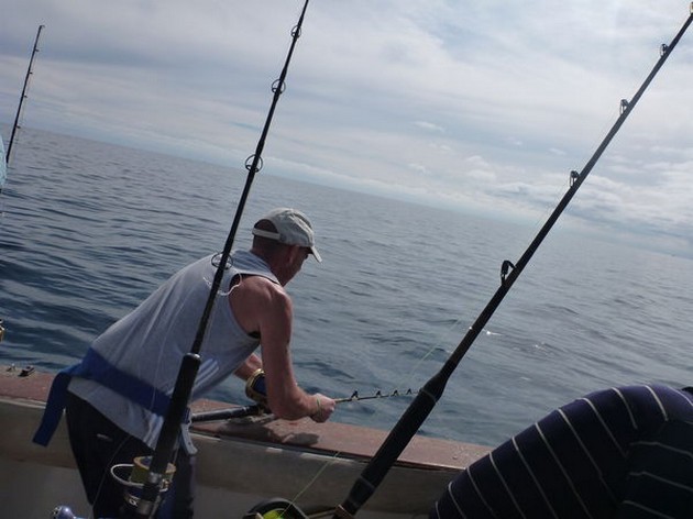 hooked up Cavalier & Blue Marlin Sport Fishing Gran Canaria