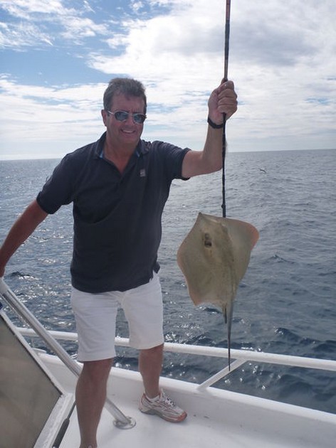 Common Stingray Cavalier & Blue Marlin Sport Fishing Gran Canaria