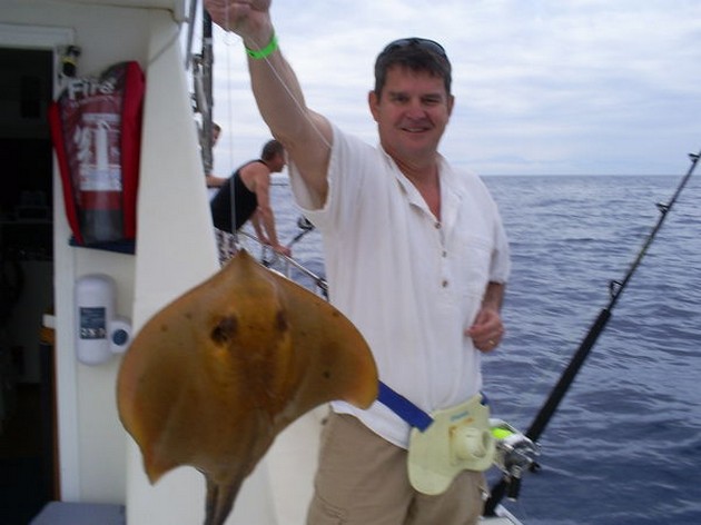 Common Stingray Cavalier & Blue Marlin Sport Fishing Gran Canaria