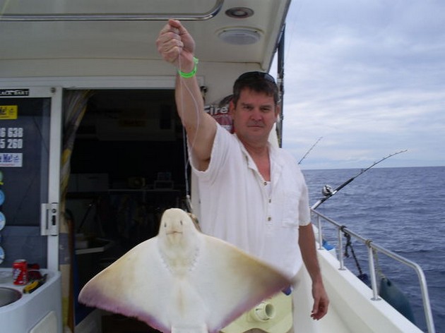 Eagle Ray Cavalier & Blue Marlin Sport Fishing Gran Canaria