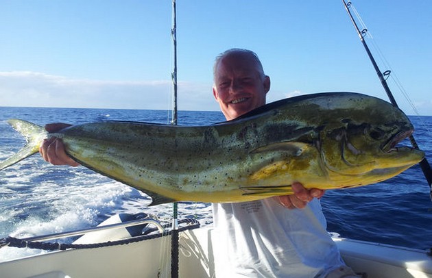 Dorado Cavalier & Blue Marlin Sport Fishing Gran Canaria
