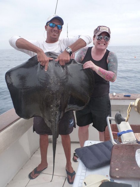 Common Stingray Cavalier & Blue Marlin Sport Fishing Gran Canaria