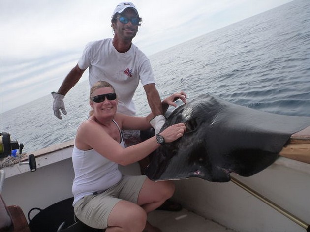 Common Stingray Cavalier & Blue Marlin Sport Fishing Gran Canaria