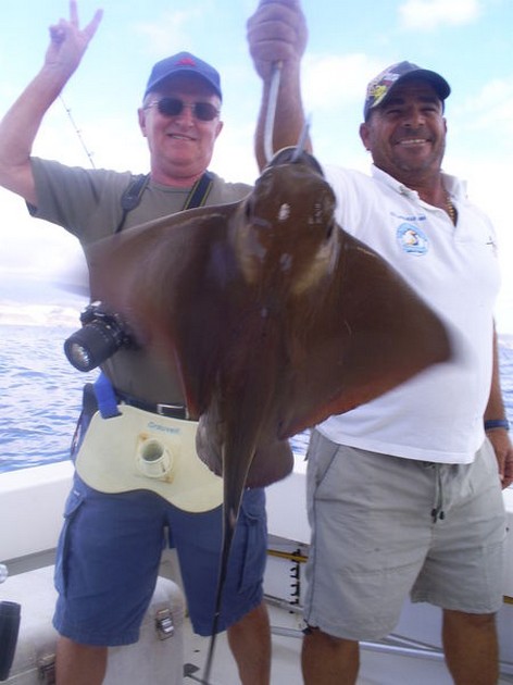 Eagle ray Cavalier & Blue Marlin Sport Fishing Gran Canaria