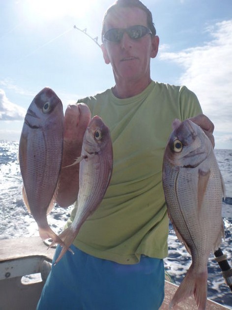 Red Snappers Cavalier & Blue Marlin Sport Fishing Gran Canaria