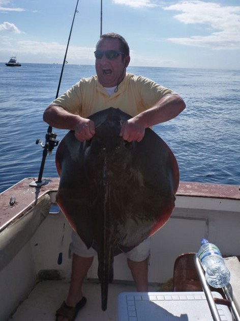 Roughtail Stingray Cavalier & Blue Marlin Sport Fishing Gran Canaria