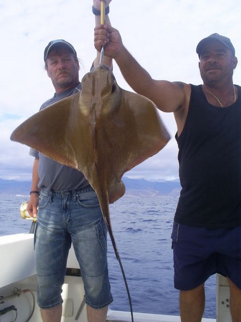 Eagle Ray Cavalier & Blue Marlin Sport Fishing Gran Canaria