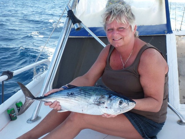 Sierra Tuna Cavalier & Blue Marlin Sport Fishing Gran Canaria