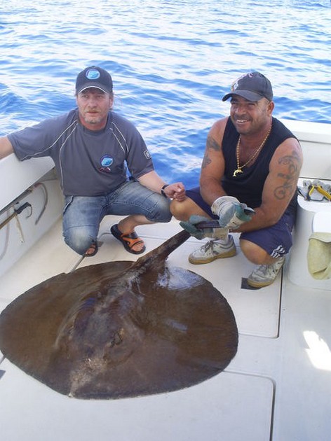 Roughtail Stingray Cavalier & Blue Marlin Sport Fishing Gran Canaria