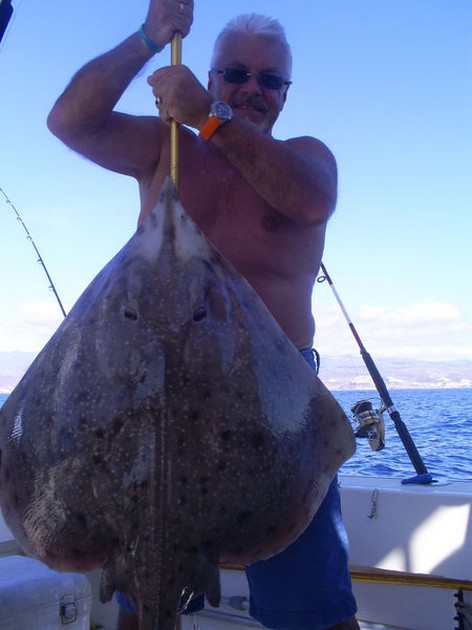 Bottlenosed Skate Cavalier & Blue Marlin Sport Fishing Gran Canaria