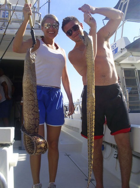 Moray Eels Cavalier & Blue Marlin Sport Fishing Gran Canaria