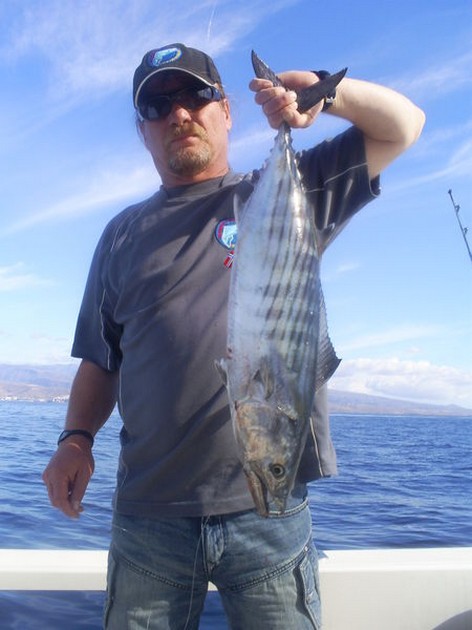 Sierra Tuna Cavalier & Blue Marlin Sport Fishing Gran Canaria
