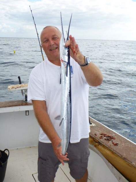 Garfish Cavalier & Blue Marlin Sport Fishing Gran Canaria