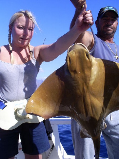 Eagle Rays Cavalier & Blue Marlin Sport Fishing Gran Canaria