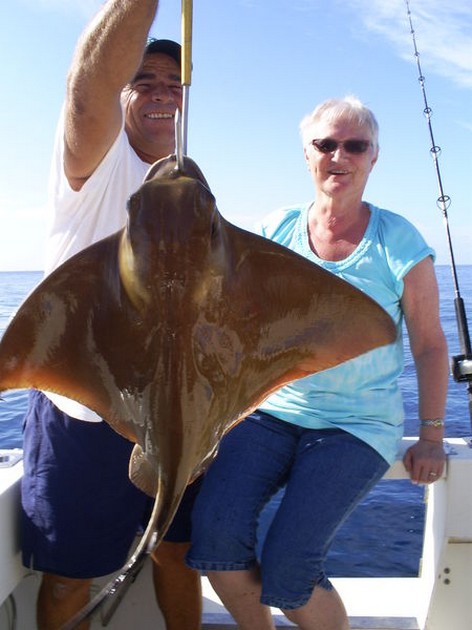 Eagle Ray Cavalier & Blue Marlin Sport Fishing Gran Canaria