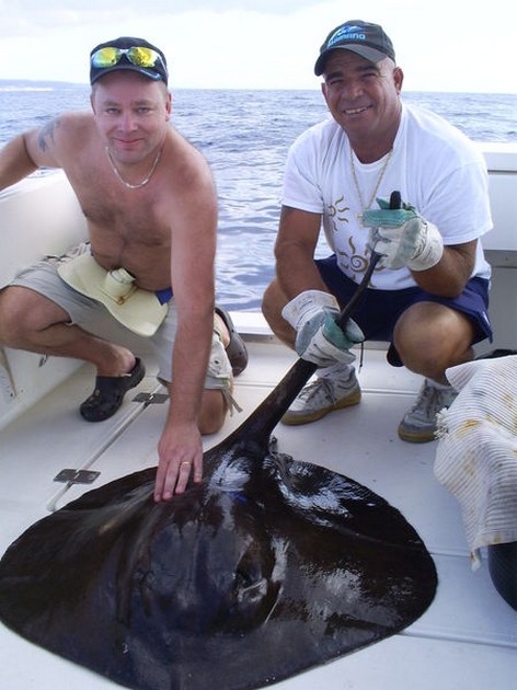 Roughtail Stingray Cavalier & Blue Marlin Sport Fishing Gran Canaria
