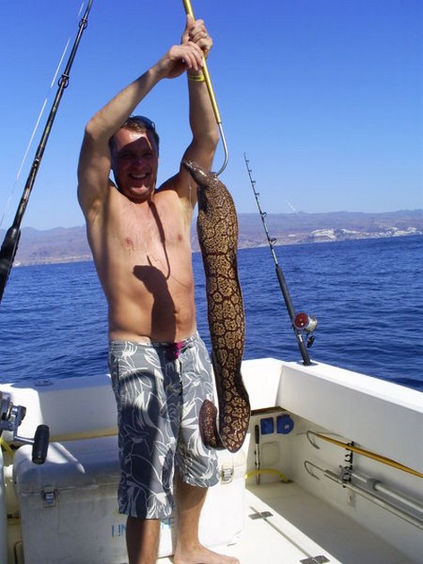 Tiger Moray Cavalier & Blue Marlin Sport Fishing Gran Canaria