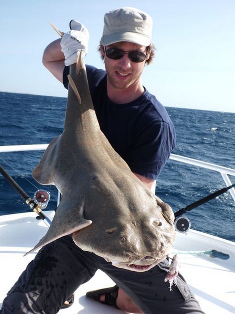 01/12 Angel shark Cavalier & Blue Marlin Sport Fishing Gran Canaria