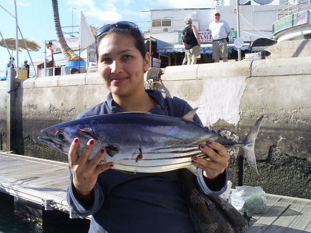 Skipjack Tuna Cavalier & Blue Marlin Sport Fishing Gran Canaria