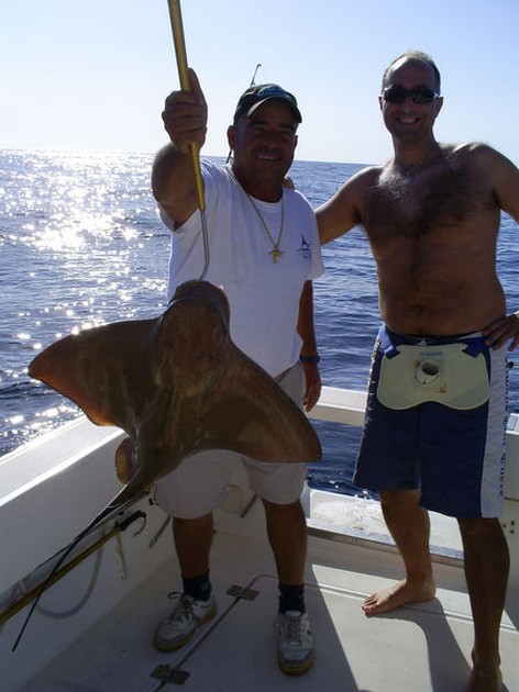 Eagle Ray Cavalier & Blue Marlin Sport Fishing Gran Canaria