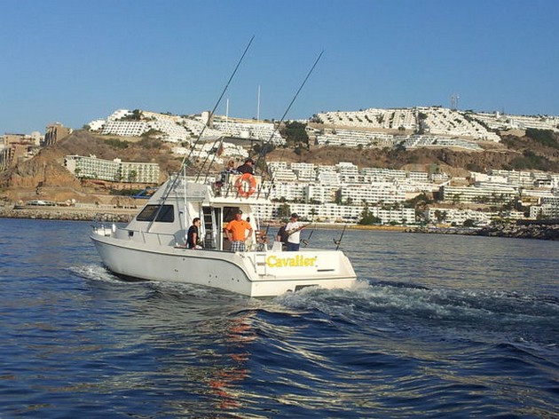 GEFELICITEERD Cavalier & Blue Marlin Sport Fishing Gran Canaria