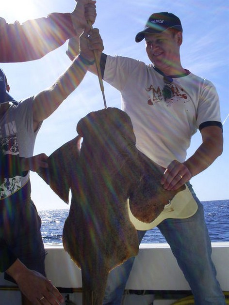 07/12 Angels shark Cavalier & Blue Marlin Sport Fishing Gran Canaria